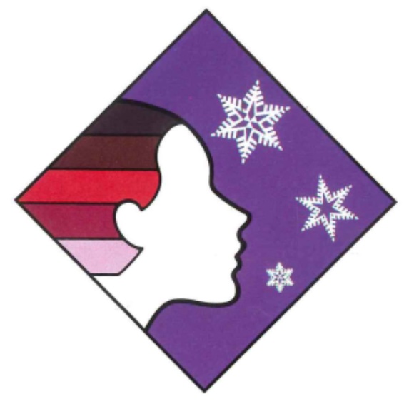 PROFESSIONAL COLOR ANALYSIS KIT FOR SALONS, STYLISTS, COLORISTS, OR ANYONE! - Picture 9 of 16